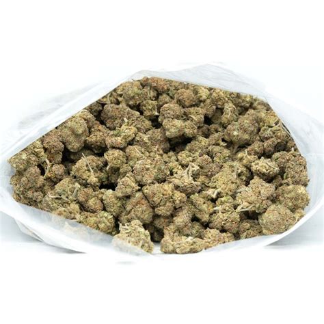 breath minty and fresh fendi|breath mints strain reviews.